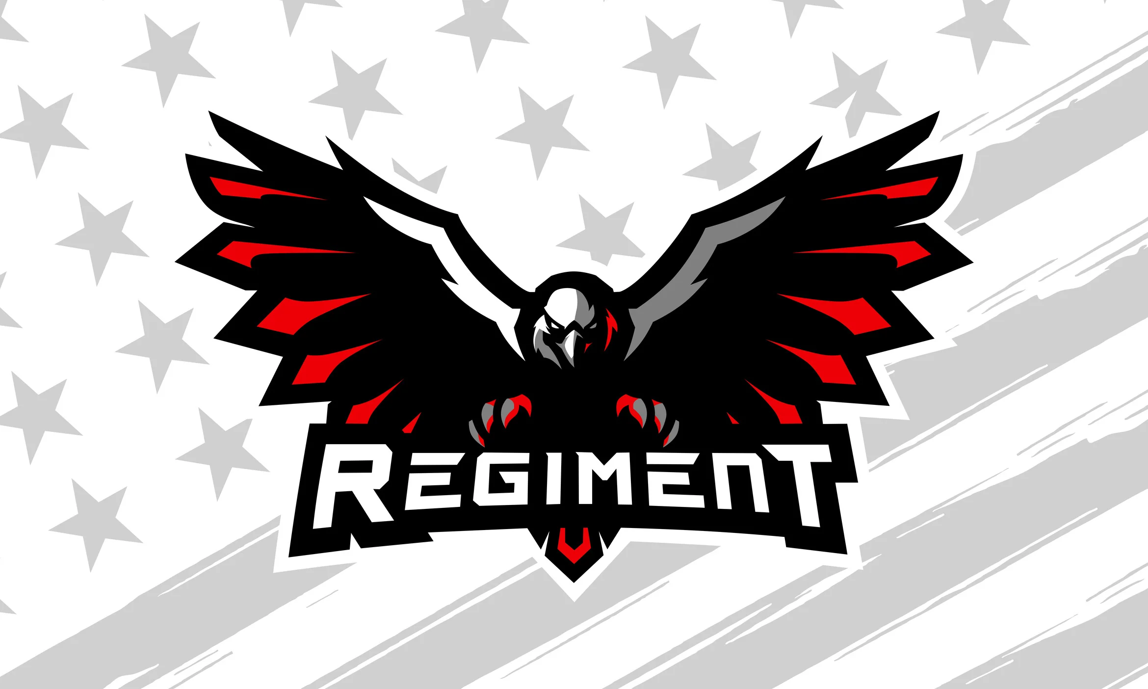 Regiment Flag - Image 3
